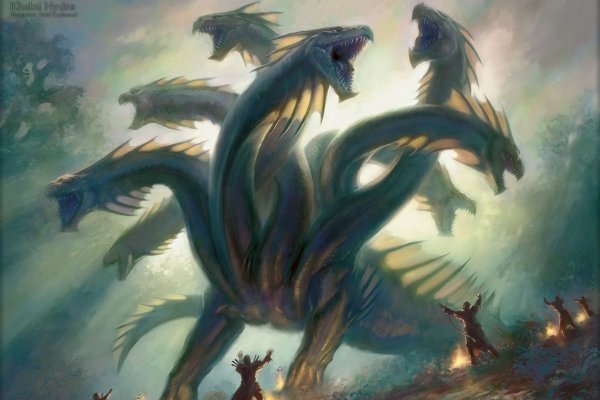Как найти kraken