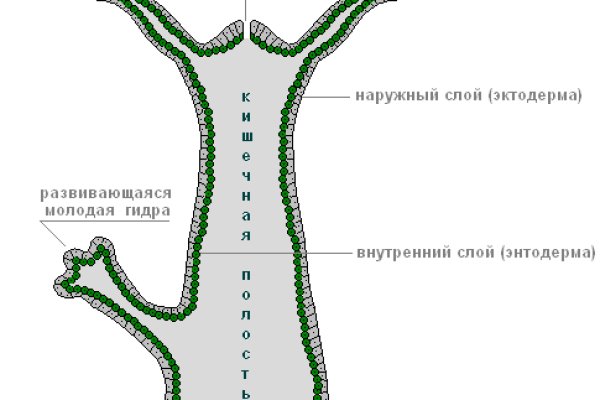 Кракен правильная