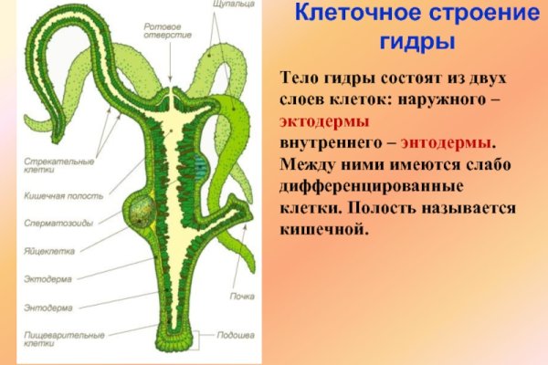 Ссылка на сайт кракен в тор браузере