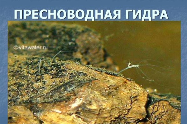 Ссылка на kraken торговая площадка