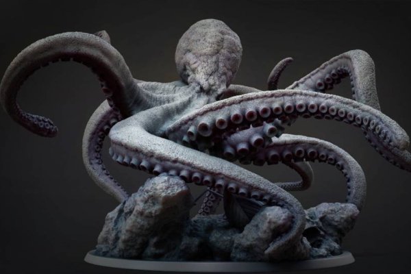 Как найти kraken
