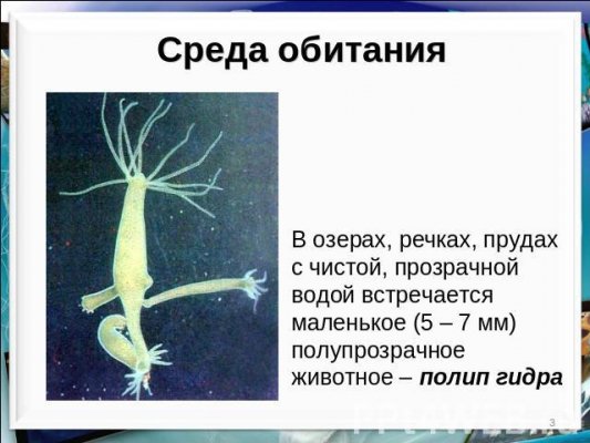 Кракен оригинальная ссылка для тор