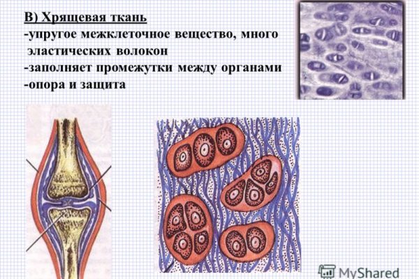 Кракен тор gigageek ru
