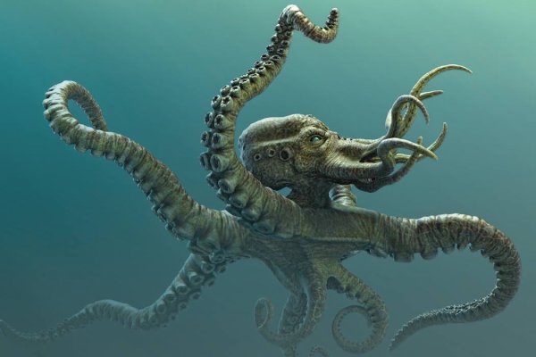 Kraken 19at