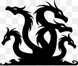 Kraken place